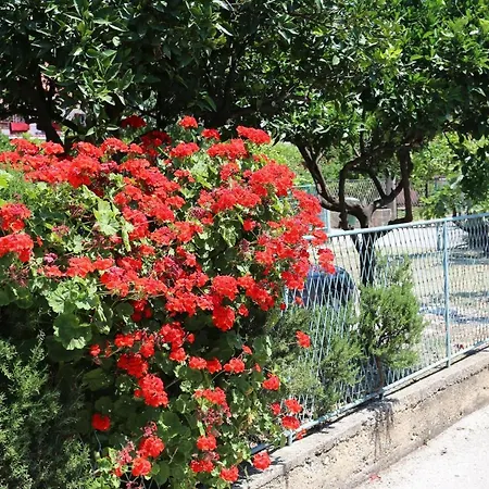 With Parking Space Orebic, Peljesac - 10149