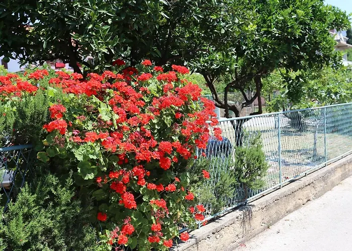 With Parking Space Orebic, Peljesac - 10149